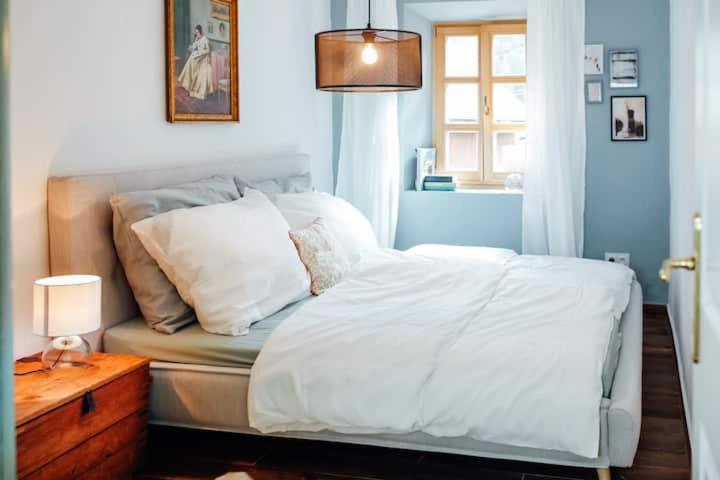 Apartment Aussee- Beletage Salzherrenhof- Kueche, Wlan, Netflix Bad Aussee Luaran gambar